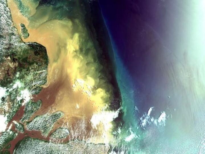 WWF-Brasil lança estudo inédito que aponta custo de oportunidade de R$ 47 bilhões e indica caminhos de maior retorno socioeconômico