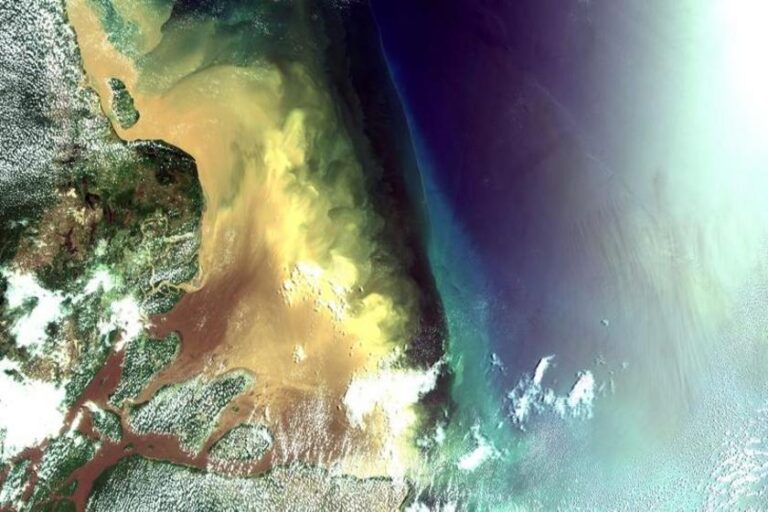 WWF-Brasil lança estudo inédito que aponta custo de oportunidade de R$ 47 bilhões e indica caminhos de maior retorno socioeconômico