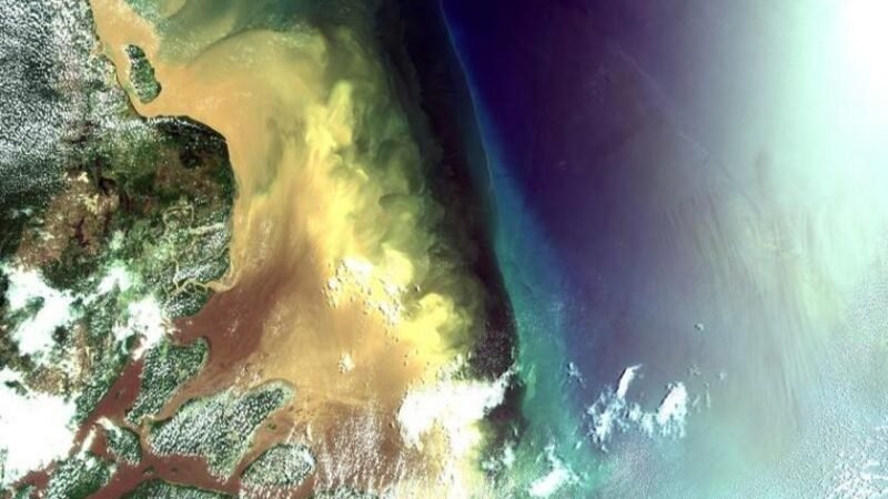 WWF-Brasil lança estudo inédito que aponta custo de oportunidade de R$ 47 bilhões e indica caminhos de maior retorno socioeconômico