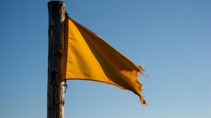 Bandeira Amarela em Maio: Impacto no Custo da Energia e Alerta para Período Seco