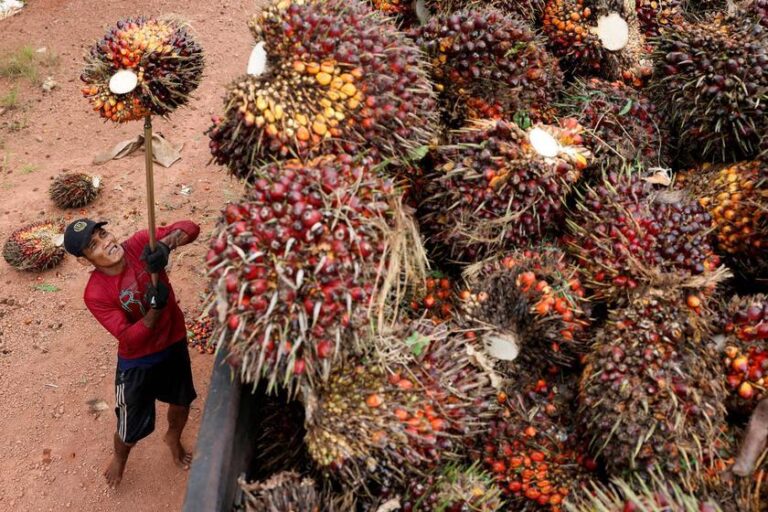 "Biodiesel Supera Diesel Concorrente na Ásia, Pondo Fim à Dependência do Petróleo"