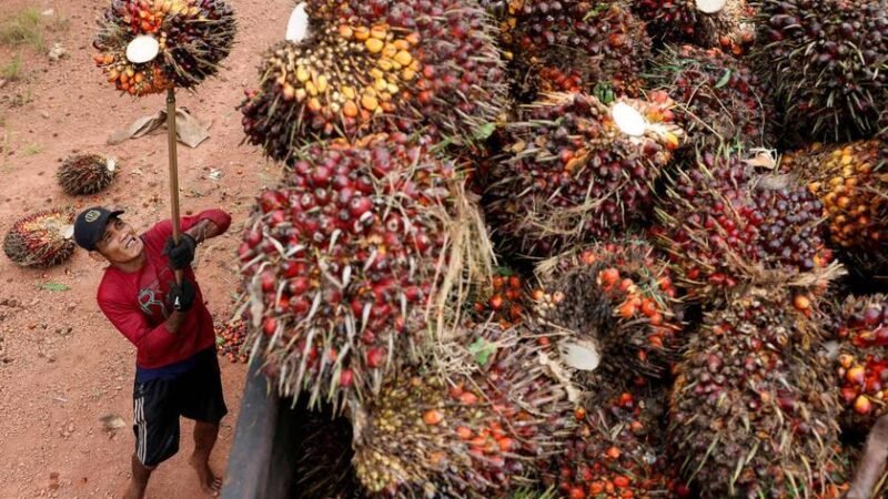 "Biodiesel Supera Diesel Concorrente na Ásia, Pondo Fim à Dependência do Petróleo"