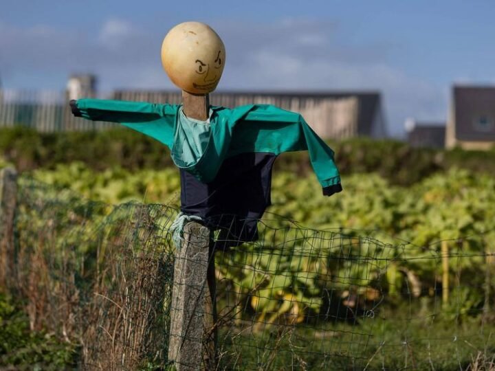 Debate econômico brasileiro preso em espantalhos ideológicos, atrasando progresso real Debate econômico brasileiro preso em espantalhos ideológicos, atrasando progresso real