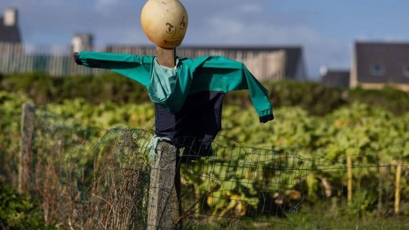 Debate econômico brasileiro preso em espantalhos ideológicos, atrasando progresso real