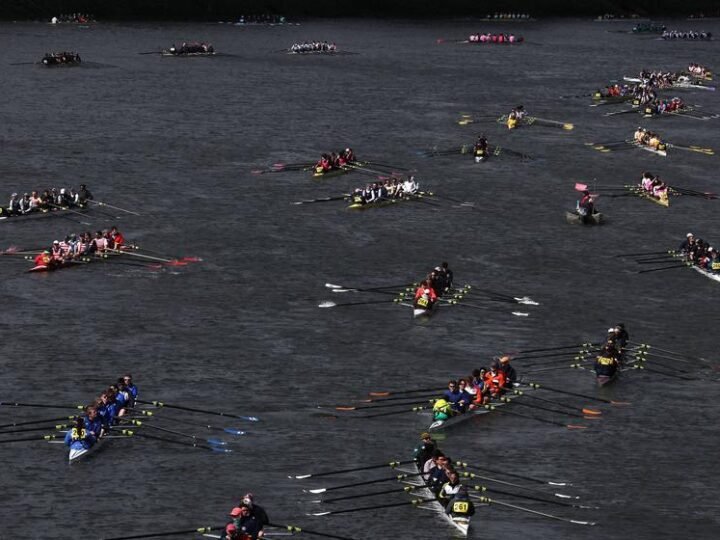 Descentralização em Saneamento e Energia: Estratégia Urgente para Eficiência Sustentável