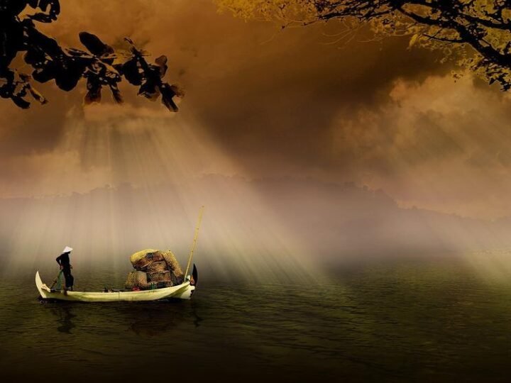 Energia solar impulsiona Gelo Caboclo, fortalece pesca artesanal e bioeconomia amazônica