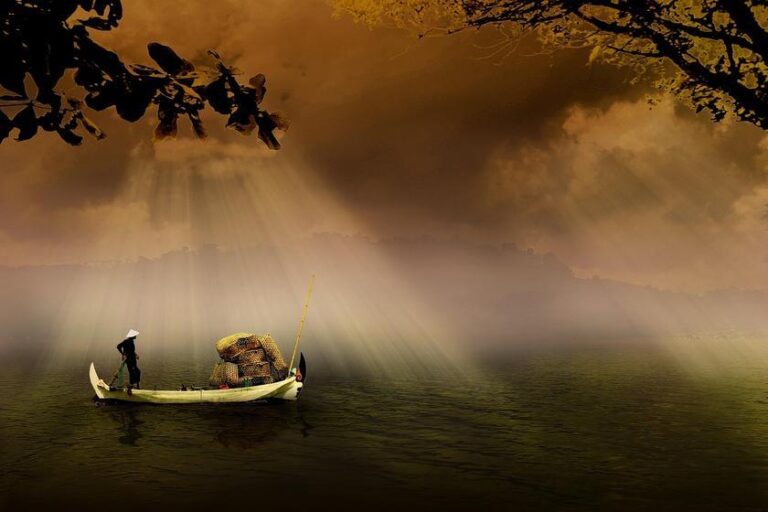 Energia solar impulsiona Gelo Caboclo, fortalece pesca artesanal e bioeconomia amazônica