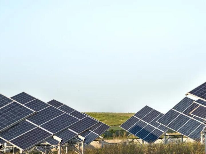 Micro Usina Solar: Como gerar economia e vantagem ambiental na prática