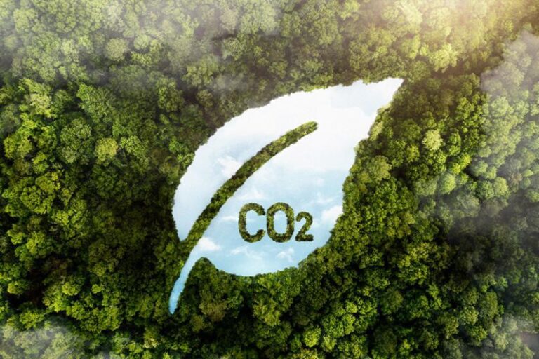 MPF tenta barrar programa de carbono no Pará e acende alerta sobre financiamento climático no Brasil