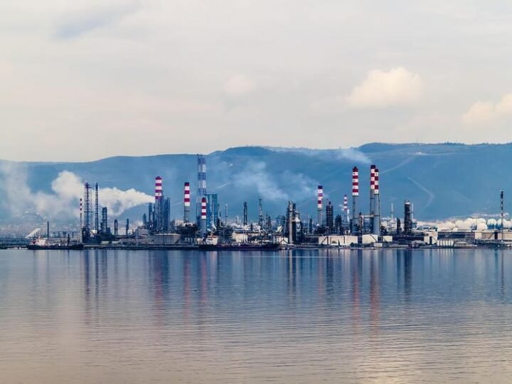 Xi busca aliança energética com Rússia, preparando visita de Putin à China