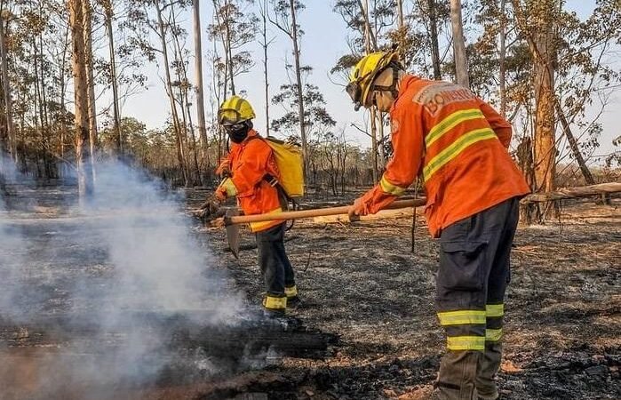 Alerta ecológico no DF até dezembro