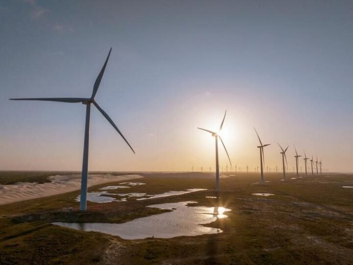 Certificados de energia renovável ganham papel estratégico na descarbonização de negócios