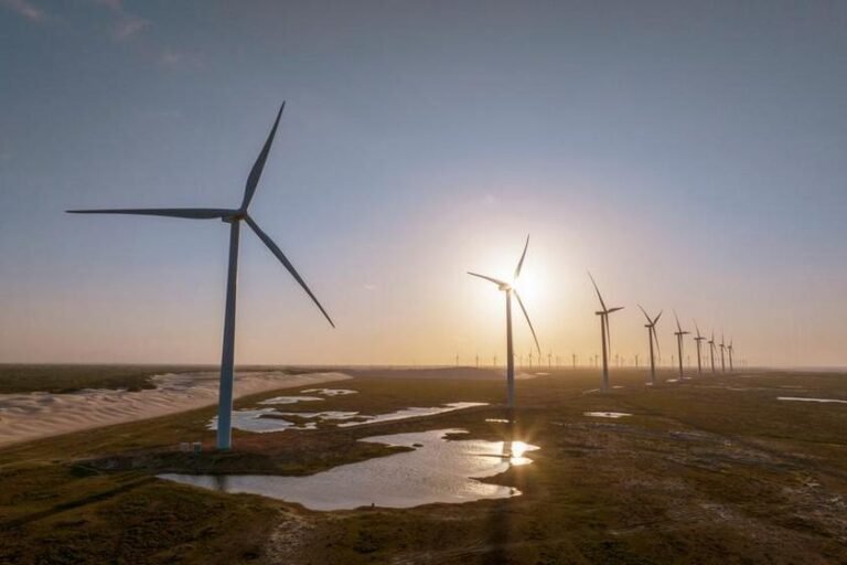Certificados de energia renovável ganham papel estratégico na descarbonização de negócios