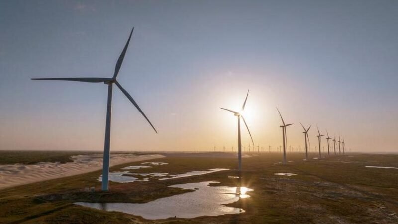 Certificados de energia renovável ganham papel estratégico na descarbonização de negócios