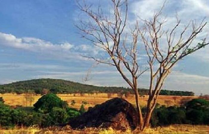 Chamada de Projetos Aberta e Cooperativa: Uma Oportunidade de Colaboração Transformadora