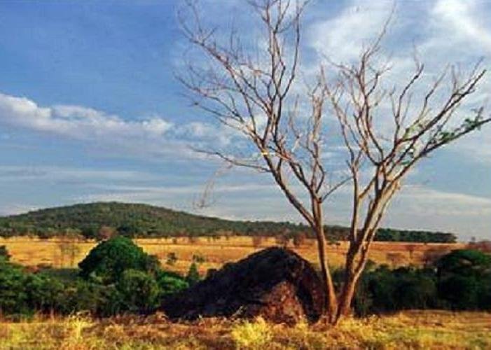 Chamada de Projetos Aberta e Cooperativa: Uma Oportunidade de Colaboração Transformadora