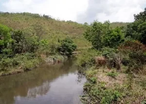 Contra o Vento: Novos Acordos para Salvar a Bacia do Pipiripau
