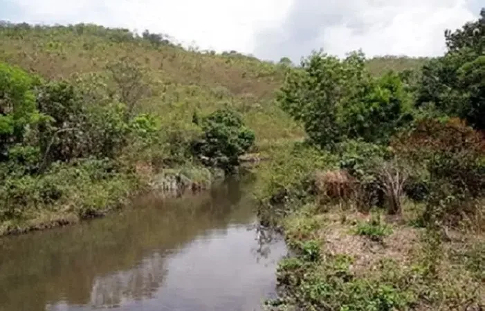 Contra o Vento: Novos Acordos para Salvar a Bacia do Pipiripau