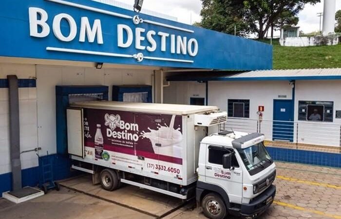 Laticínios e azeite em fusão perfeita