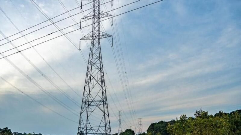 Alupar apresenta lucro líquido de 148,9 milhões no 1º trimestre, alta de 6,3%