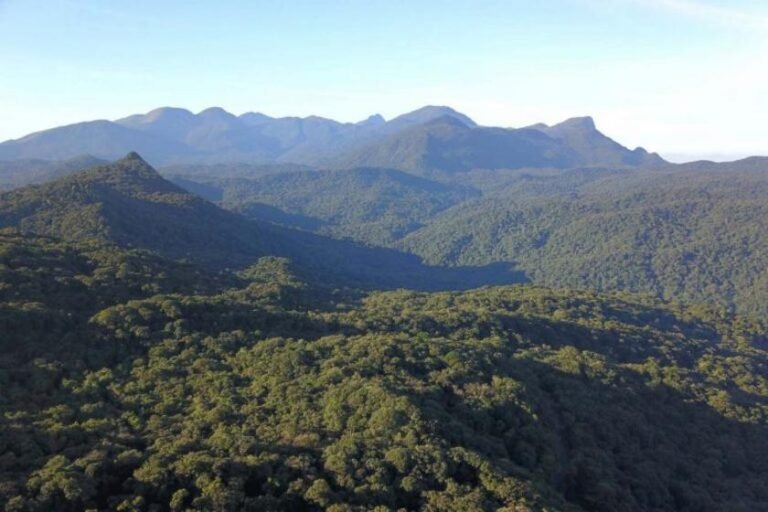 Audiência Pública Discute Impacto da Mata Atlântica na Adaptação Climática do Brasil
