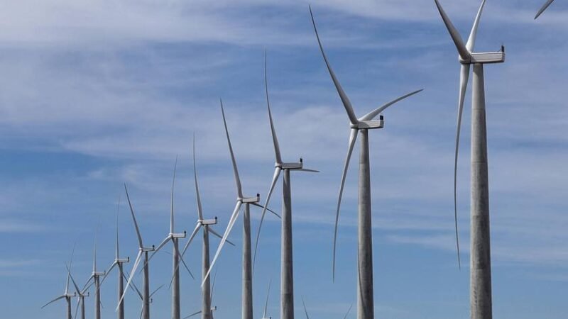 Conectando Empresas com Projetos Climáticos: Plataforma Brasil de Soluções é Lançada para Acelerar Investimentos Sustentáveis