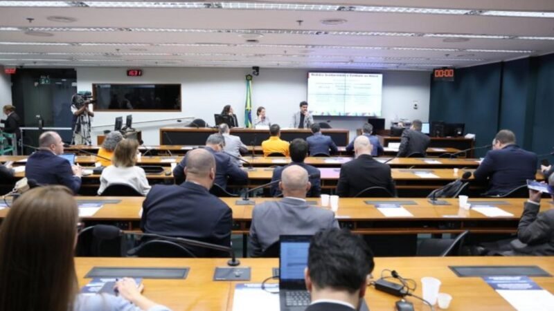 Críticas e apoios a medidas governamentais para reprimir alta nos combustíveis