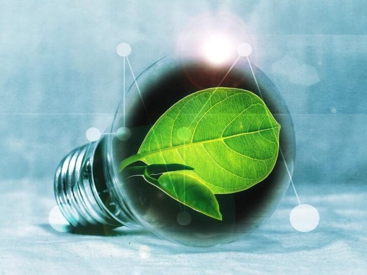 Eco Invest: modelo híbrido busca R$ 50 bilhões para inovação verde