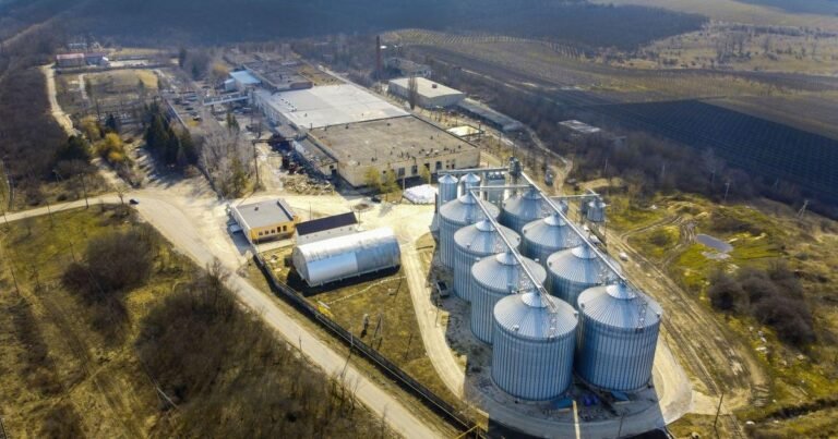 Fertilizantes Sustentáveis Emergem como Nova Alternativa para Reduzir Dependência de Materiais Minerais