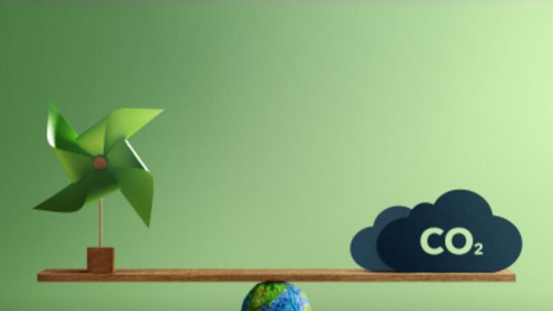 Mercado de carbono desencadeia mudanças na preservação ambiental de municípios
