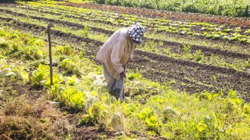 MP que concedia R$ 190 milhões em créditos extras à agricultura familiar perde validade após não ser votada no Congresso