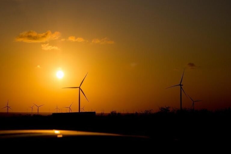 Novo PAC amplia portfólio de projetos solares e eólicos no Brasil
