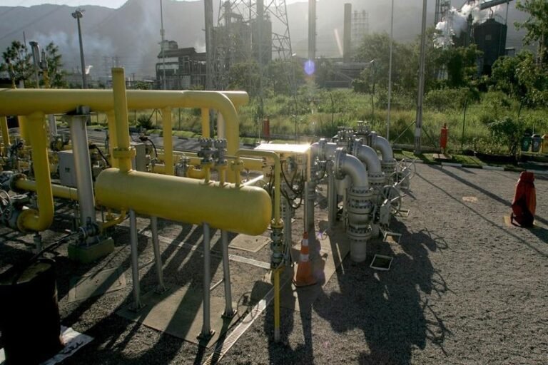 Redata enfrenta desafios regulatórios para viabilizar investimentos em gás natural