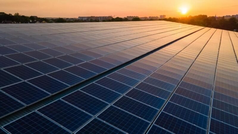 5 vantagens de usar uma plataforma de gestão para usinas solares e proteger seus resultados