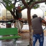 Alerta para Dengue no Distrito Federal Ap&oacute;s Chuvas At&iacute;picas