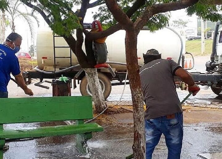 Alerta para Dengue no Distrito Federal Após Chuvas Atípicas