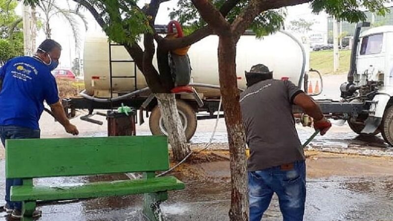 Alerta para Dengue no Distrito Federal Após Chuvas Atípicas