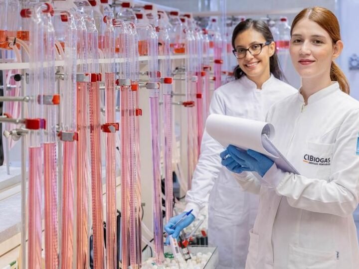 CIBiogás consolida 15 anos de atuação com inteligência técnica para transformar resíduos em energia renovável