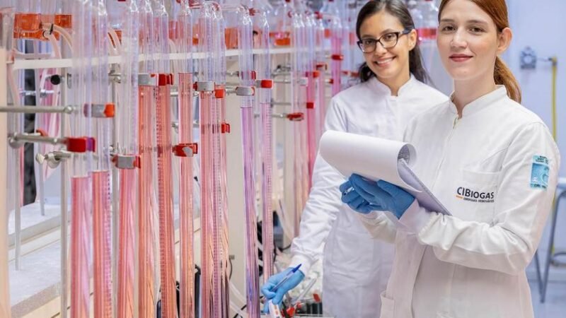 CIBiogás consolida 15 anos de atuação com inteligência técnica para transformar resíduos em energia renovável