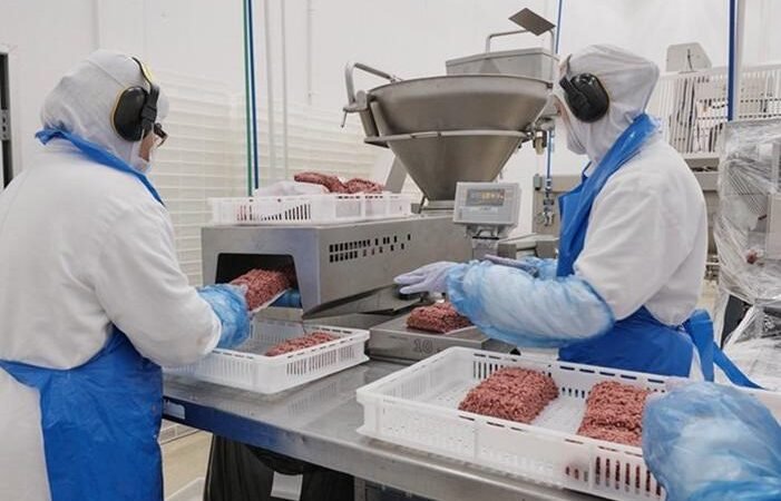 Empresas de Proteção Animal se Opõem a Investimentos em Setor de Proteína Animal