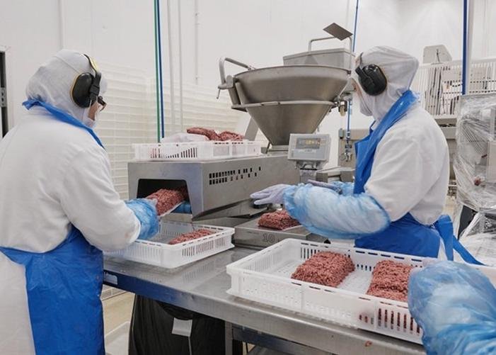 Empresas de Proteção Animal se Opõem a Investimentos em Setor de Proteína Animal