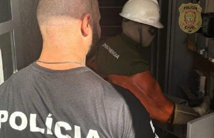 Gato leva donos de academias à condenação