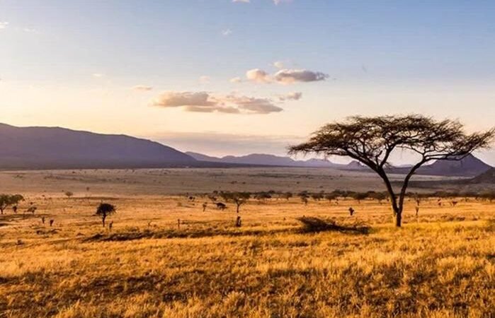 O Cerrado pode ser uma inspiração para a agricultura sustentável nas savanas africanas