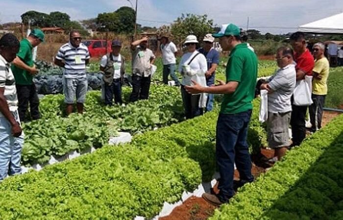 Prorrogação do Concurso Público pela Emater e Chamada de Servidores pela DER.