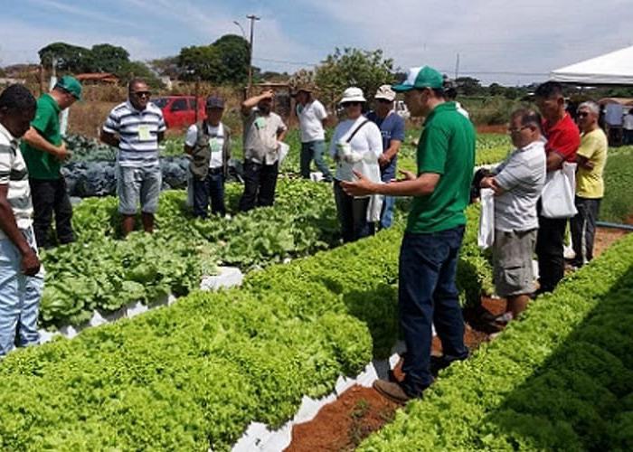Prorrogação do Concurso Público pela Emater e Chamada de Servidores pela DER.