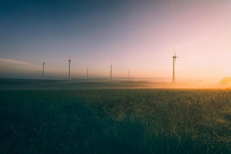acciona.org inicia atividades no Brasil com projeto de acesso à energia limpa