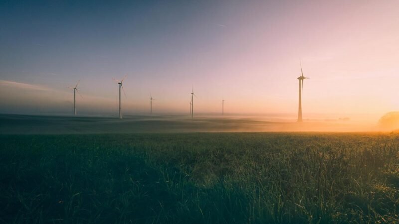 acciona.org inicia atividades no Brasil com projeto de acesso à energia limpa