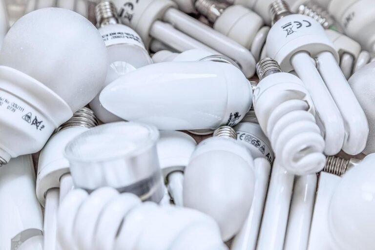 Apoio a economia circular no Brasil esbarra em resistência a reciclados
