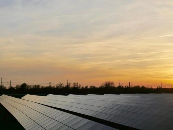 Como entrar no mercado no momento certo sendo um Assessor de Energia Sunne? Como entrar no mercado no momento certo sendo um Assessor de Energia Sunne?