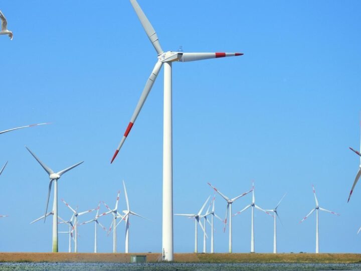 EDF solicita outorga para complexo eólico de 300 MW na Bahia